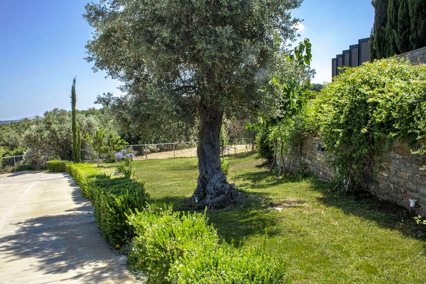 Arion Krini Villa Amnátos Extérieur photo