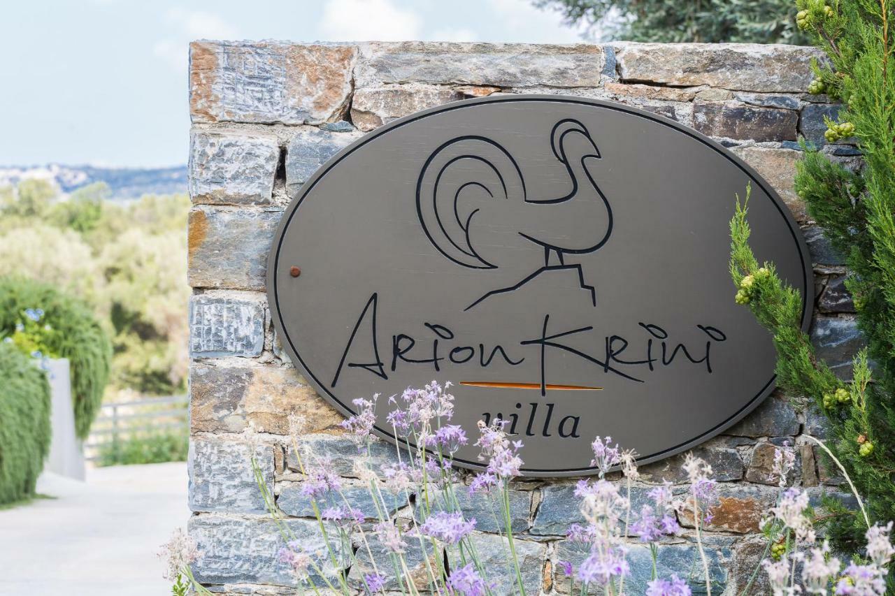 Arion Krini Villa Amnátos Extérieur photo