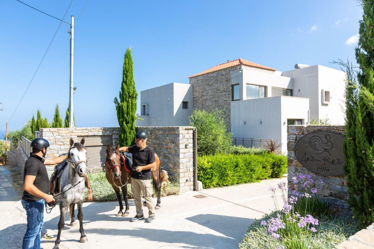 Arion Krini Villa Amnátos Extérieur photo